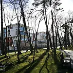 Magia Apartamento *